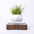 Magnetic Levitation Polygonal Wood Grain Potted Plant