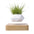 Magnetic Levitation Polygonal Wood Grain Potted Plant