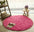 LuxeCircle Shaggy Area Rug