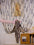 LuxeFlow Wedding Door Curtain